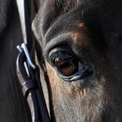 Hygiène Yeux/ Naseaux*Natural' Innov - Lotion nettoyante pour les yeux Natural'Look