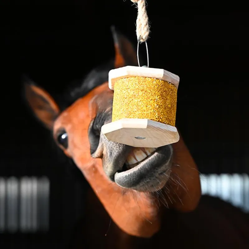 Best - Pierre à lécher Natural'Rock Moov Friandises Pour Chevaux