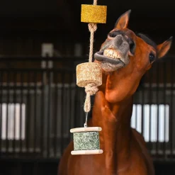 Best - Pierre à lécher Natural'Rock Moov Friandises Pour Chevaux