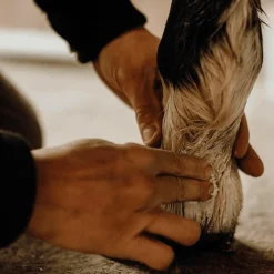 Gale De Boue*Nellumbo - Baume protecteur et hydratant Blanc