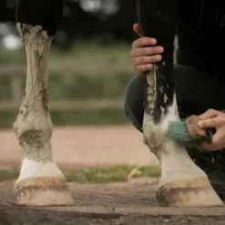 Best - Cataplasme d'argile douleurs musculaires & articulaires Argiles