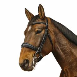 Brides*Norton - Bride Basal Noir