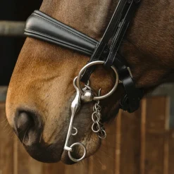 Brides*Norton - Bride Basal Noir