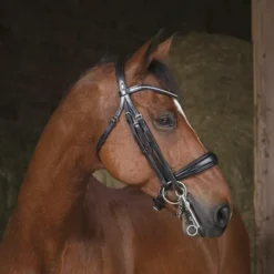 Hot - Bride strass noir Brides