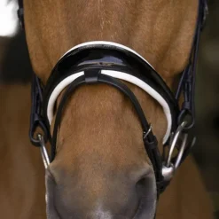 Cso|Bridons*Norton - Bridon Bella Noir