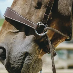 Bridons*Norton - Bridon Bitless avec rênes Havane