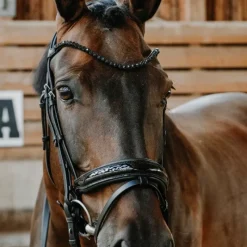 Outlet - Bridon de dressage Royal Bridons