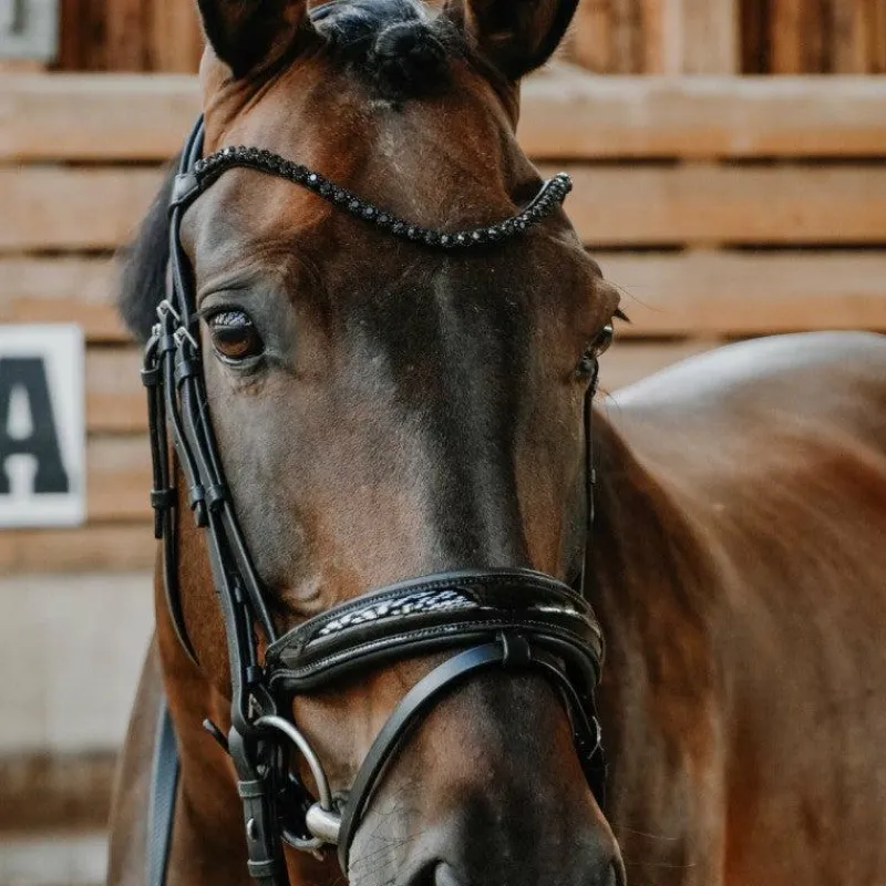 Outlet - Bridon de dressage Royal Bridons