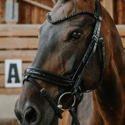 Outlet - Bridon de dressage Royal Bridons