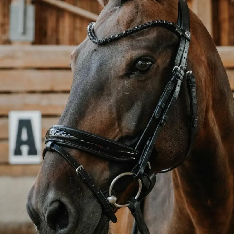 Outlet - Bridon de dressage Royal Bridons