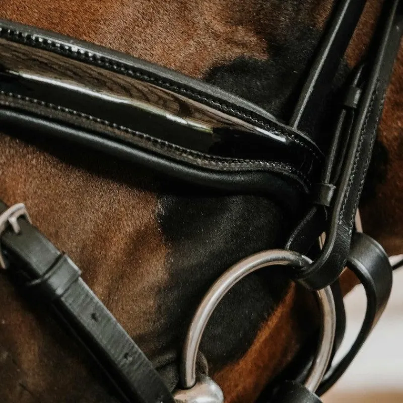 Outlet - Bridon de dressage Royal Bridons