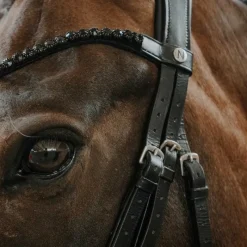 Outlet - Bridon de dressage Royal Bridons