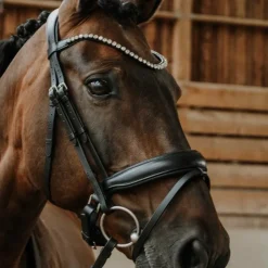 Bridons*Norton - Bridon de dressage Diams Noir