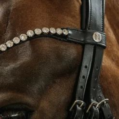 Bridons*Norton - Bridon de dressage Diams Noir