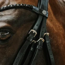 Bridons*Norton - Bridon de dressage Onyx Noir