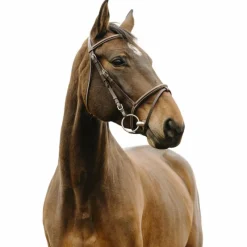 Bridons*Norton - Bridon Deco Havane