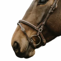 Bridons*Norton - Bridon Deco Havane