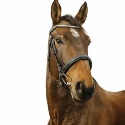 Bridons*Norton - Bridon Diva Noir