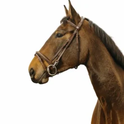 - Bridon Easy Bridons