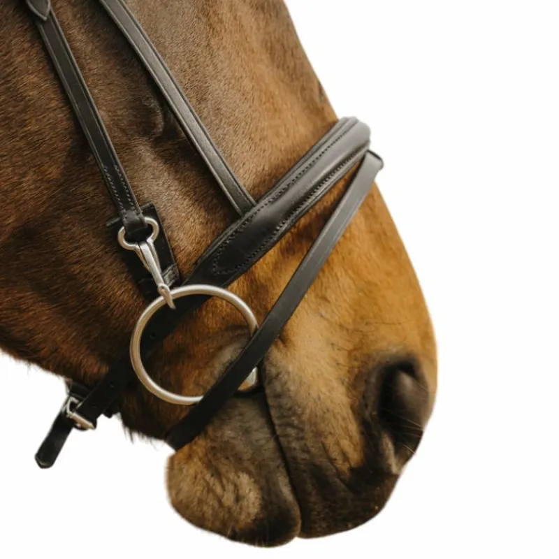 Bridons*Norton - Bridon Easy Noir