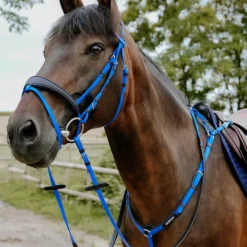 Best - Bridon endurance Pop électrique Bridons