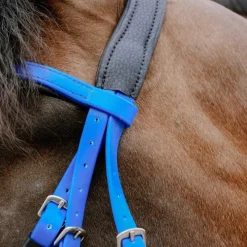 Best - Bridon endurance Pop électrique Bridons