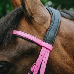 Clearance - Bridon endurance Pop Bridons