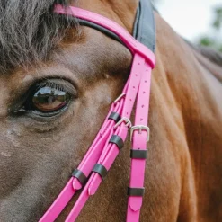 Clearance - Bridon endurance Pop Bridons