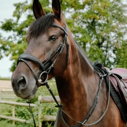 Bridons*Norton - Bridon endurance Pop Noir