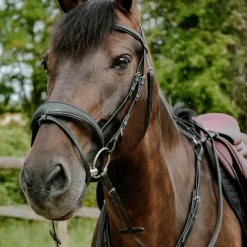 Bridons*Norton - Bridon endurance Pop Noir