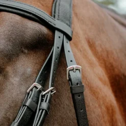 Bridons*Norton - Bridon endurance Pop Noir