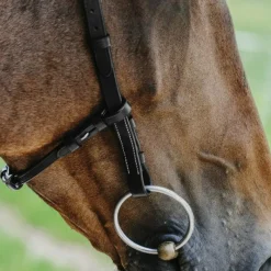 - Bridon Freedom Bridons