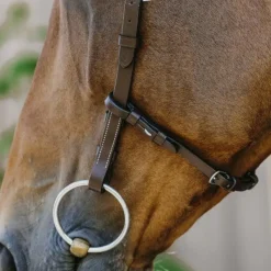 - Bridon Freedom Bridons