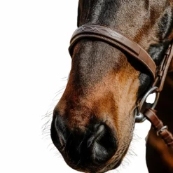 Outlet - Bridon Hunter Comfy havane Bridons