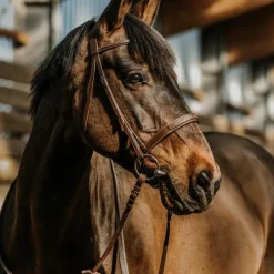 Discount - Bridon Hunter en cuir havane Bridons