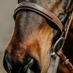 Discount - Bridon Hunter en cuir havane Bridons