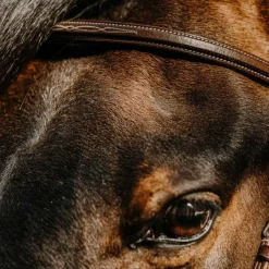 Discount - Bridon Hunter en cuir havane Bridons