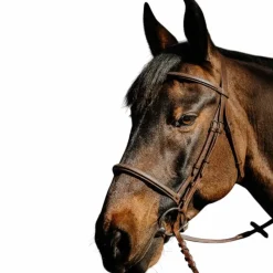 Outlet - Bridon Hunter Soft havane Bridons