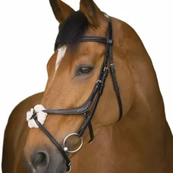 Cso|Bridons*Norton - Bridon muserolle croisée Noir
