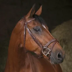 Cso|Bridons*Norton - Bridon Pro Combinée Havane