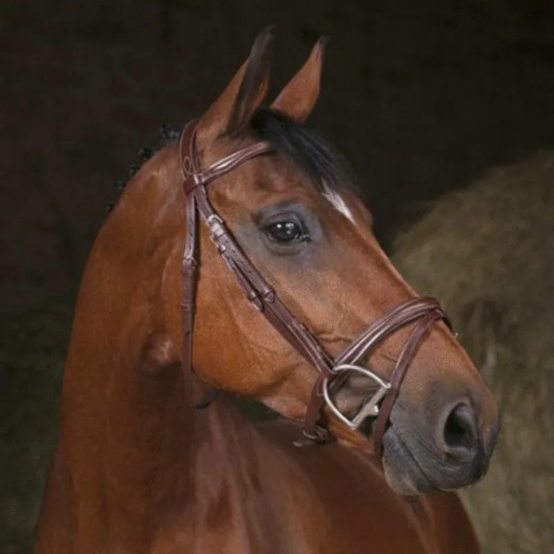 Cso|Bridons*Norton - Bridon Pro Combinée Havane