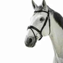 Hot - Bridon Pro Soft Cso|Bridons