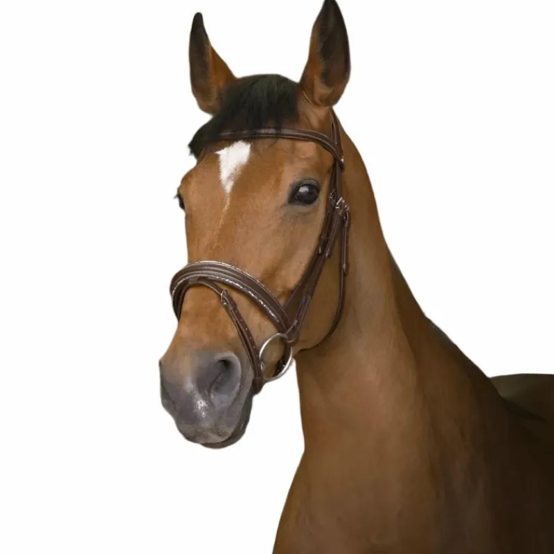 - Bridon rock Cso|Bridons