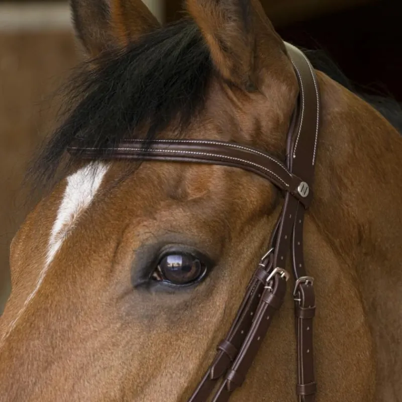 - Bridon rock Cso|Bridons