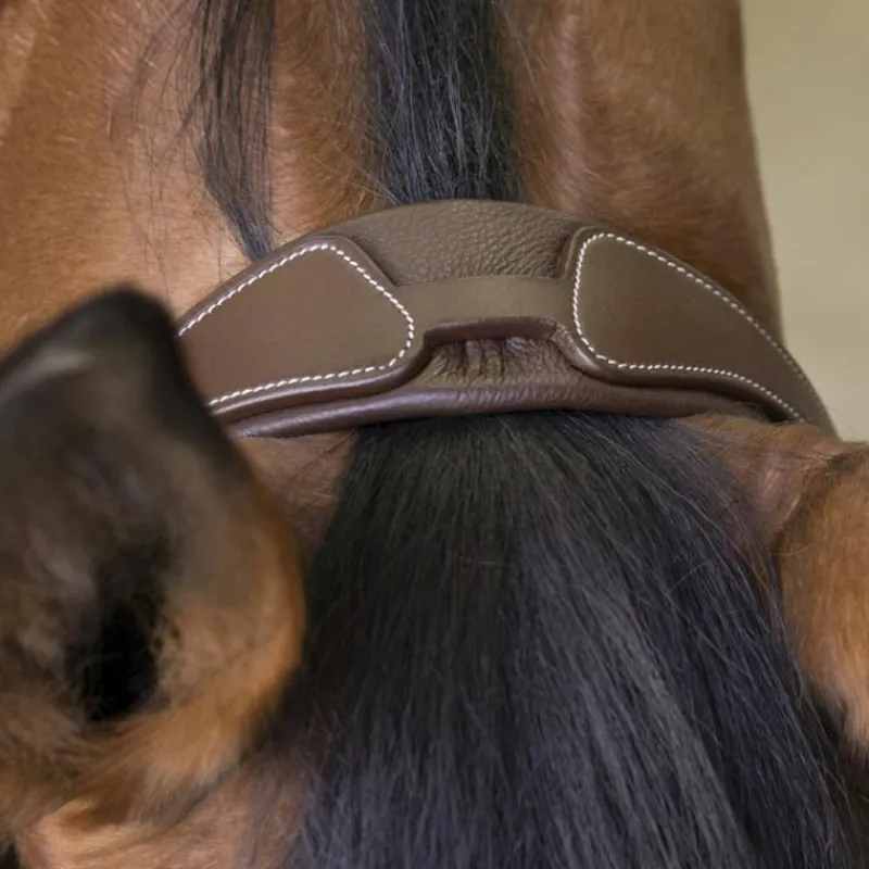 - Bridon rock Cso|Bridons