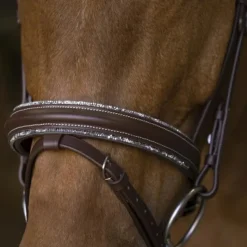 - Bridon rock Cso|Bridons