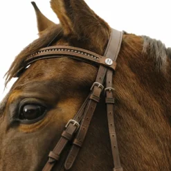 Bridons Poneys|Bridons*Norton - Bridon Strass V Havane
