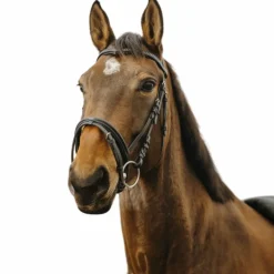 Bridons Poneys|Bridons*Norton - Bridon Strass V Noir