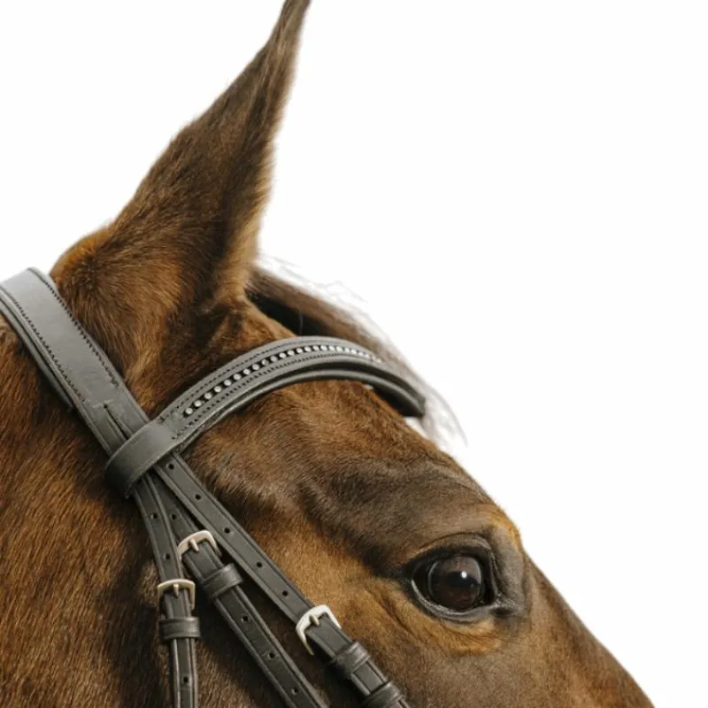 Bridons Poneys|Bridons*Norton - Bridon Strass V Noir