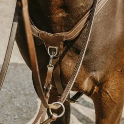 Colliers De Chasse Poneys|Colliers De Chasse*Norton - Collier de chasse 5 points havane Marron